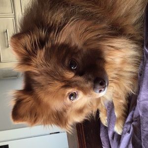 Meet your Posher, Deb